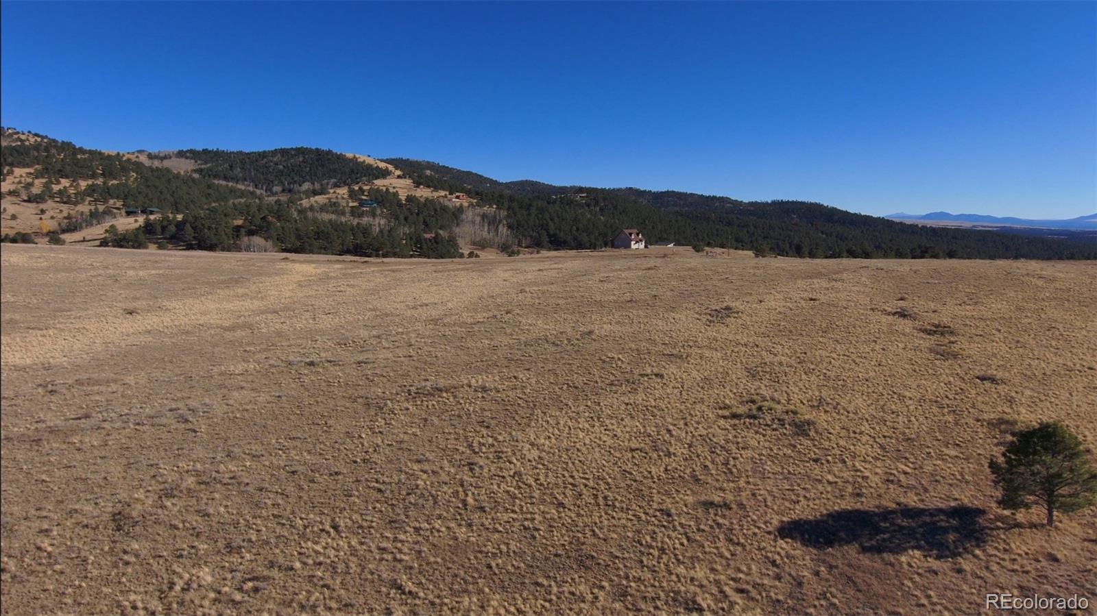152 Wulsten Way Westcliffe CO 81252