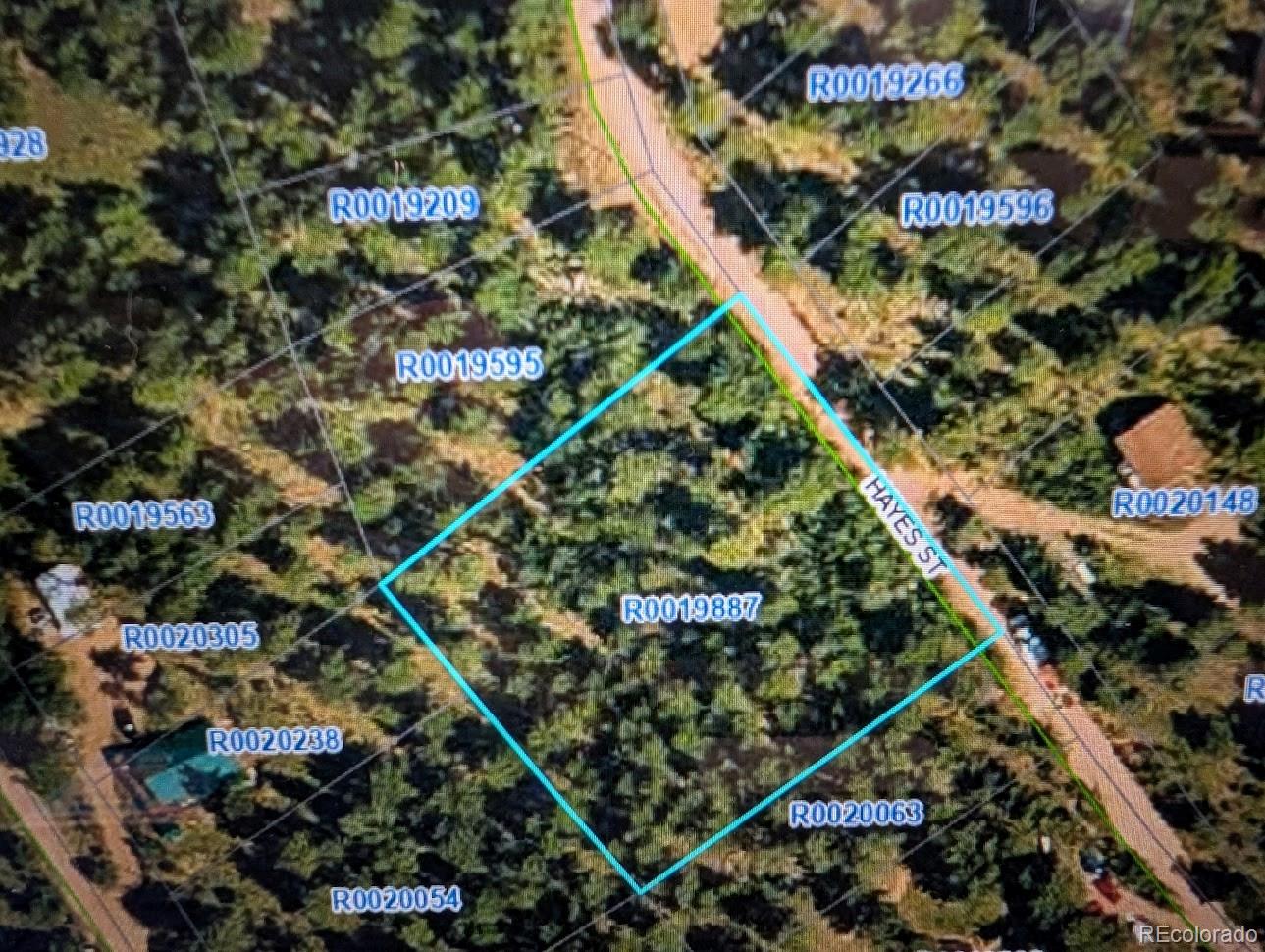 209 Hayes Street Bailey CO 80421