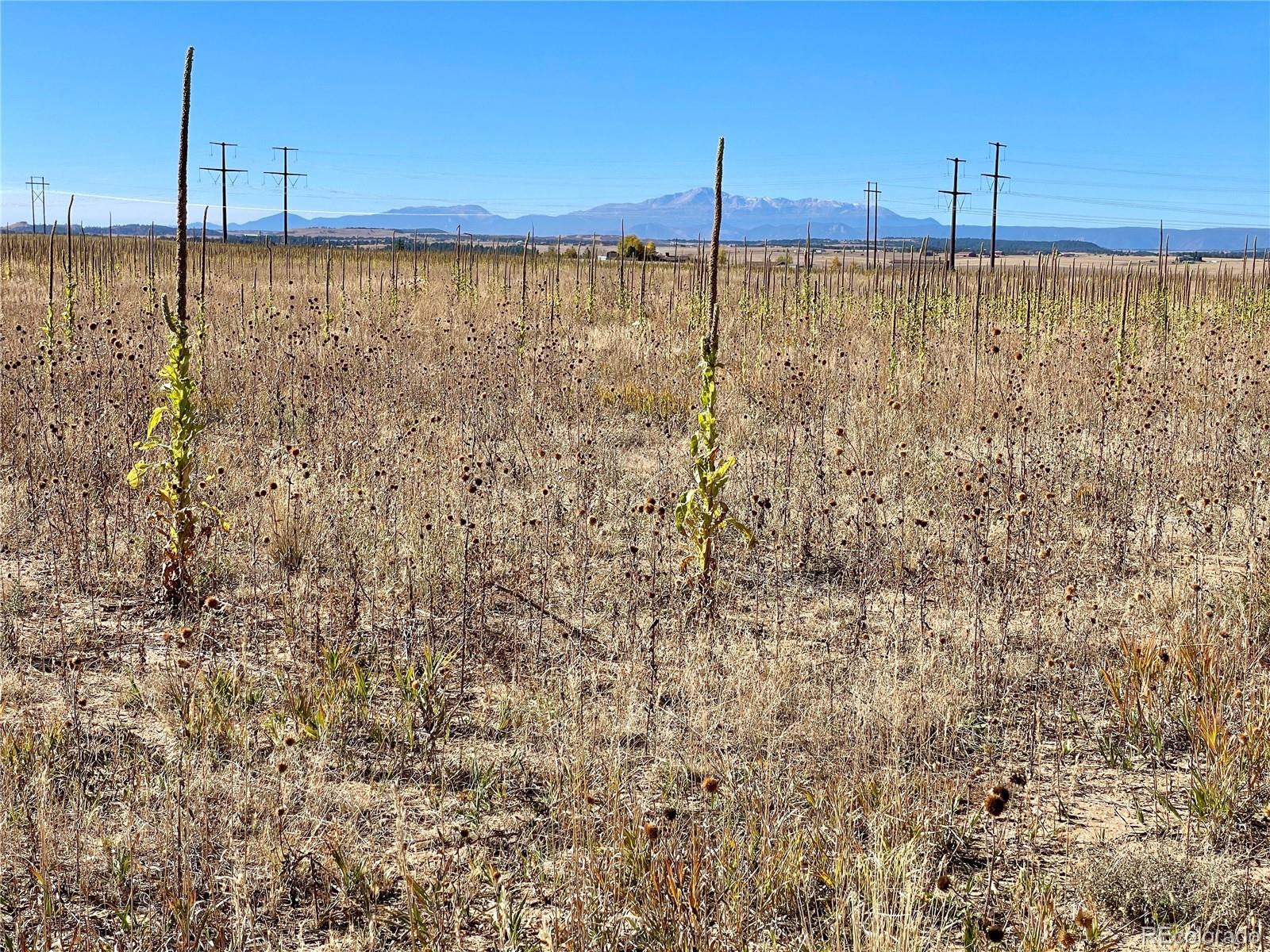 Parcel 3 County Road 98 Elbert CO 80106