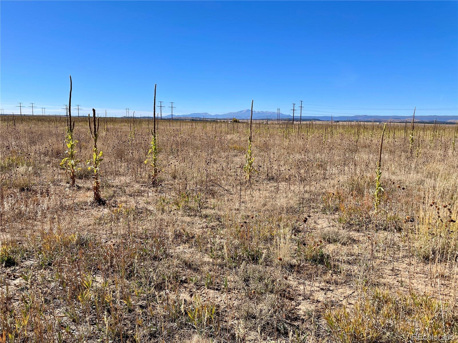 Parcel 3 County Road 98 Elbert CO 80106