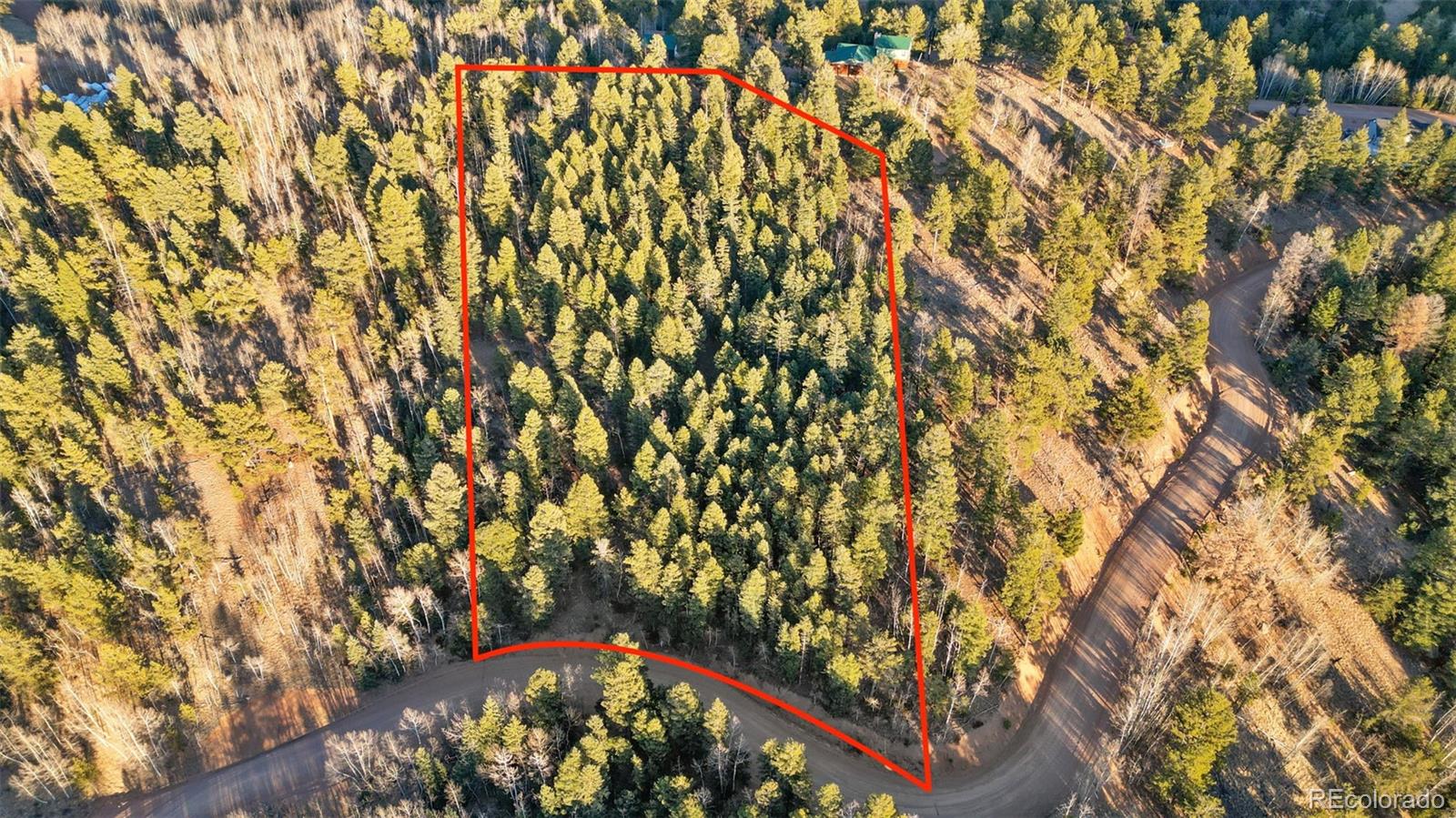 1289 Yorktown Road Cripple Creek CO 80813