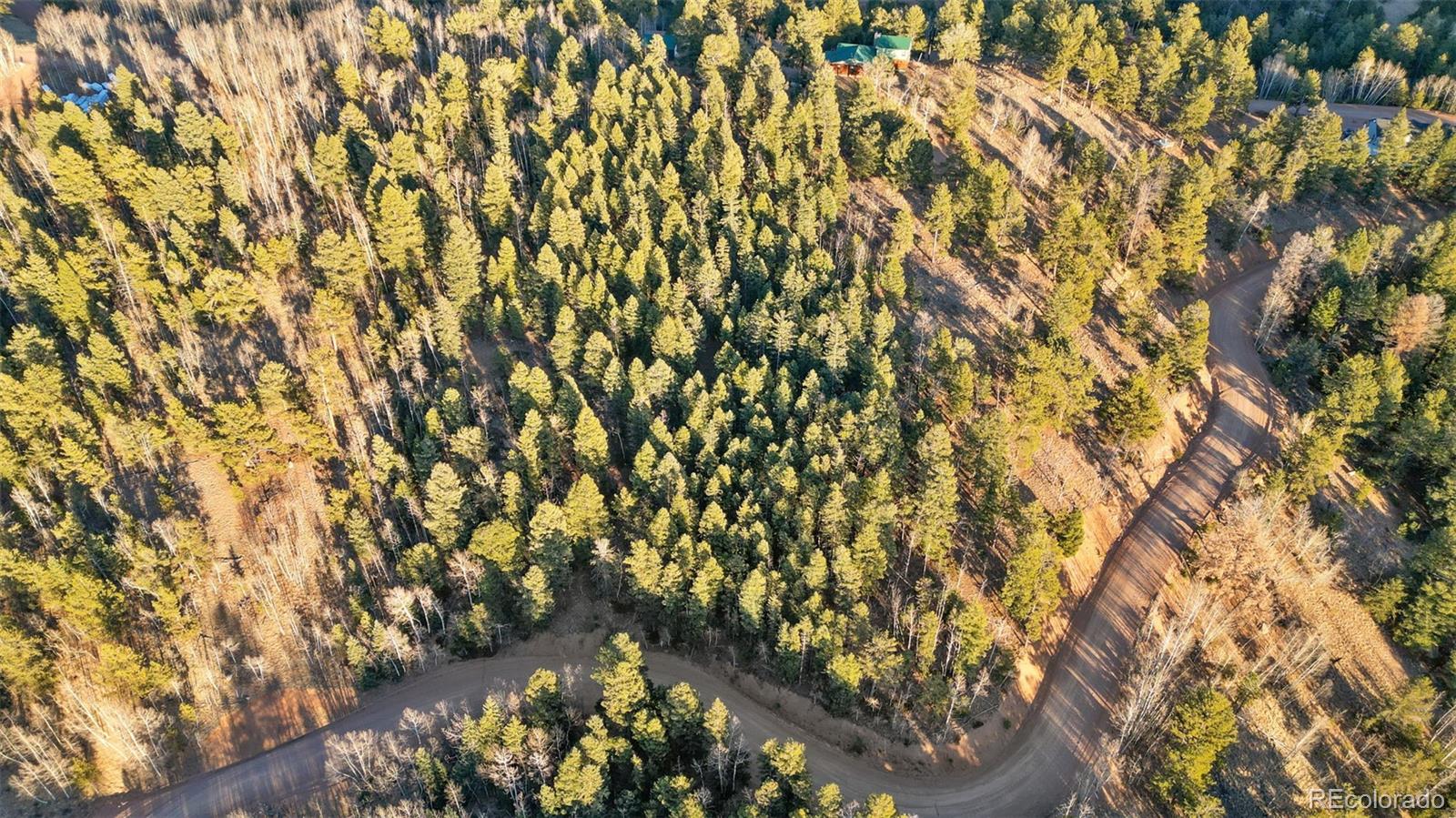 1289 Yorktown Road Cripple Creek CO 80813