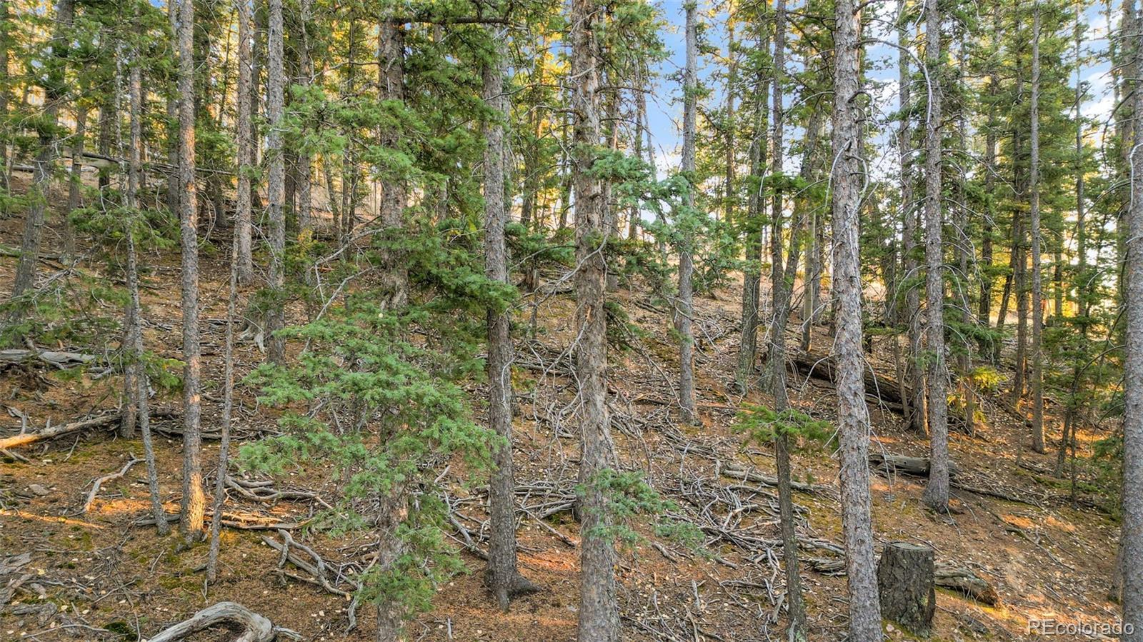 1289 Yorktown Road Cripple Creek CO 80813
