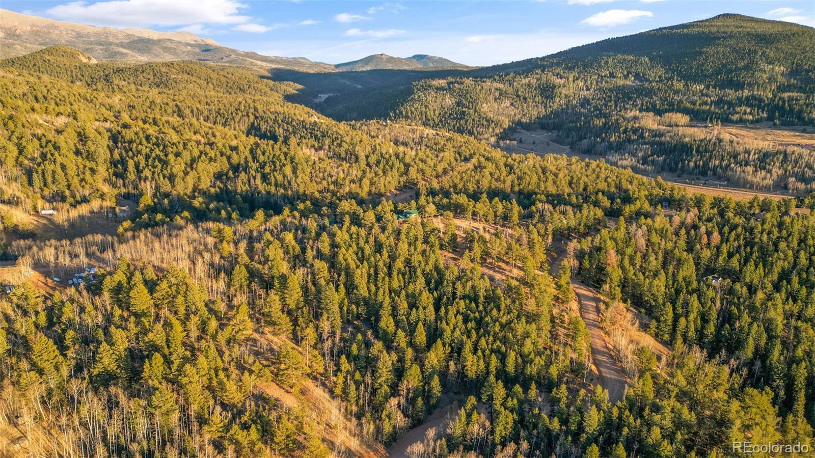 1289 Yorktown Road Cripple Creek CO 80813