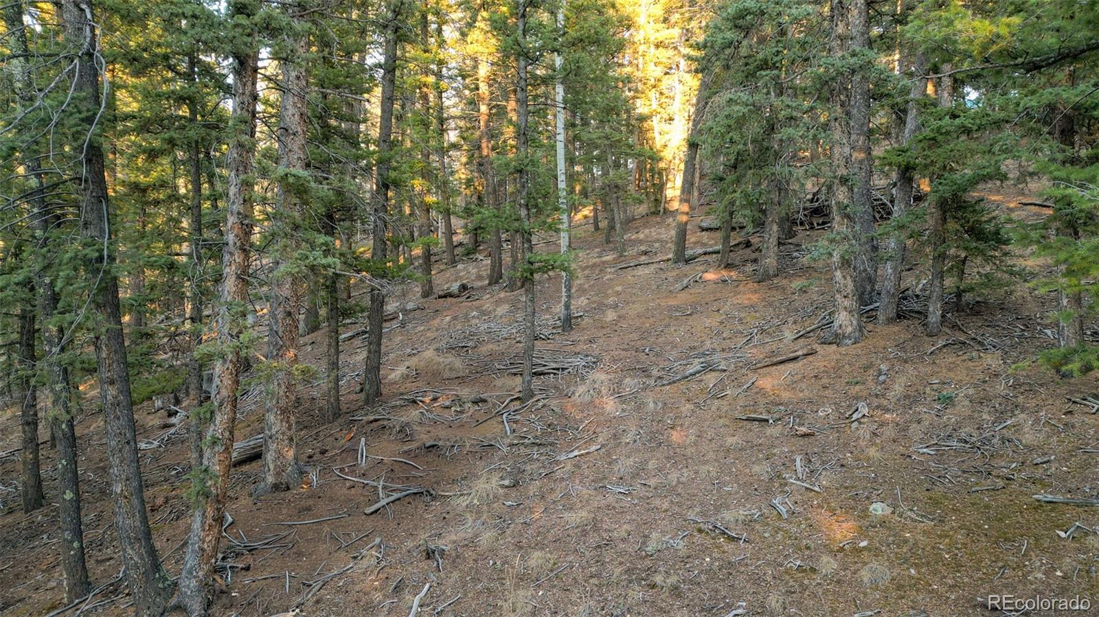 1289 Yorktown Road Cripple Creek CO 80813