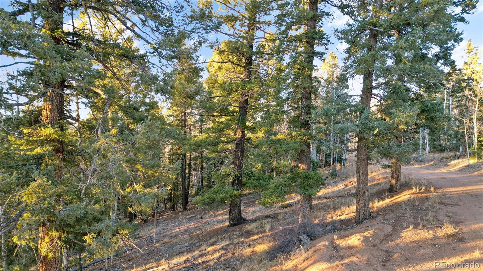 1289 Yorktown Road Cripple Creek CO 80813