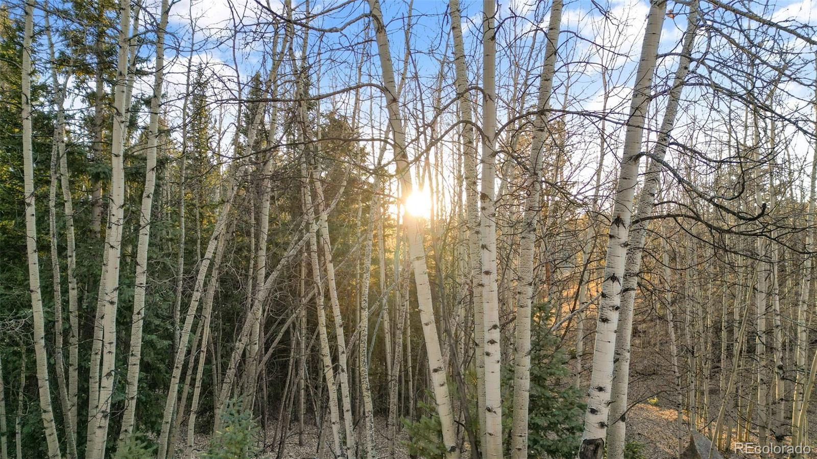 1289 Yorktown Road Cripple Creek CO 80813