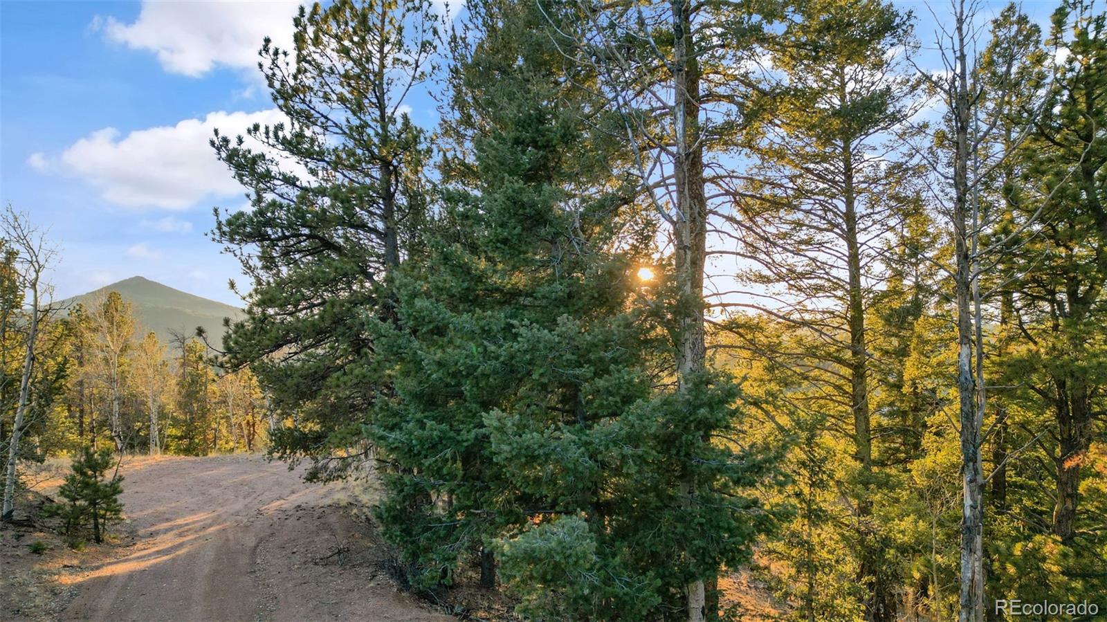 1289 Yorktown Road Cripple Creek CO 80813