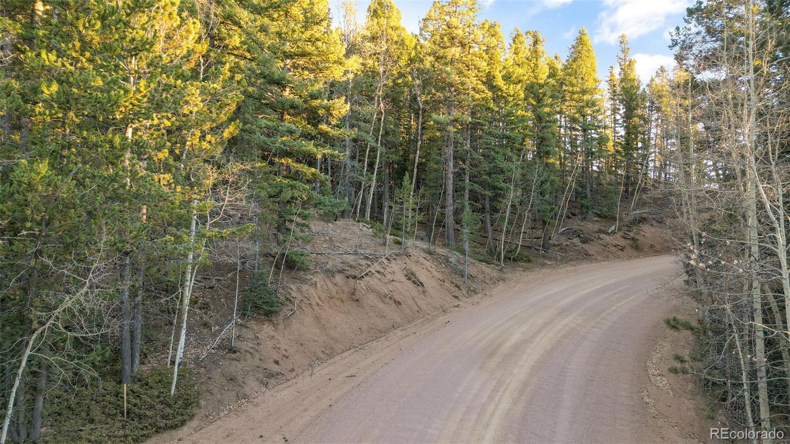 1289 Yorktown Road Cripple Creek CO 80813