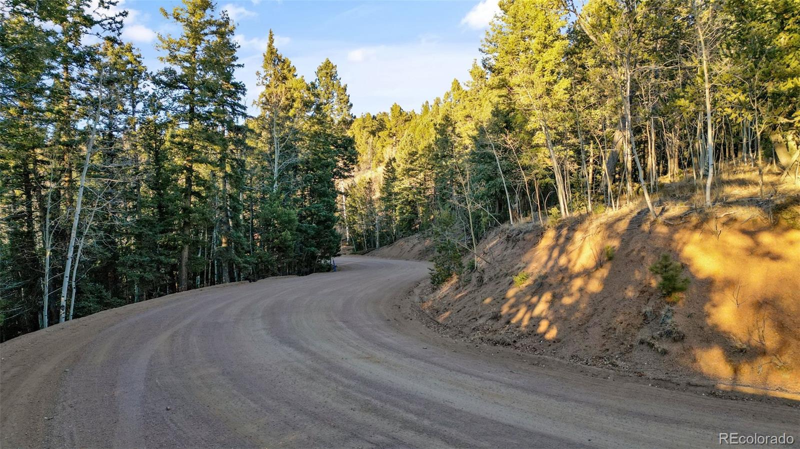1289 Yorktown Road Cripple Creek CO 80813
