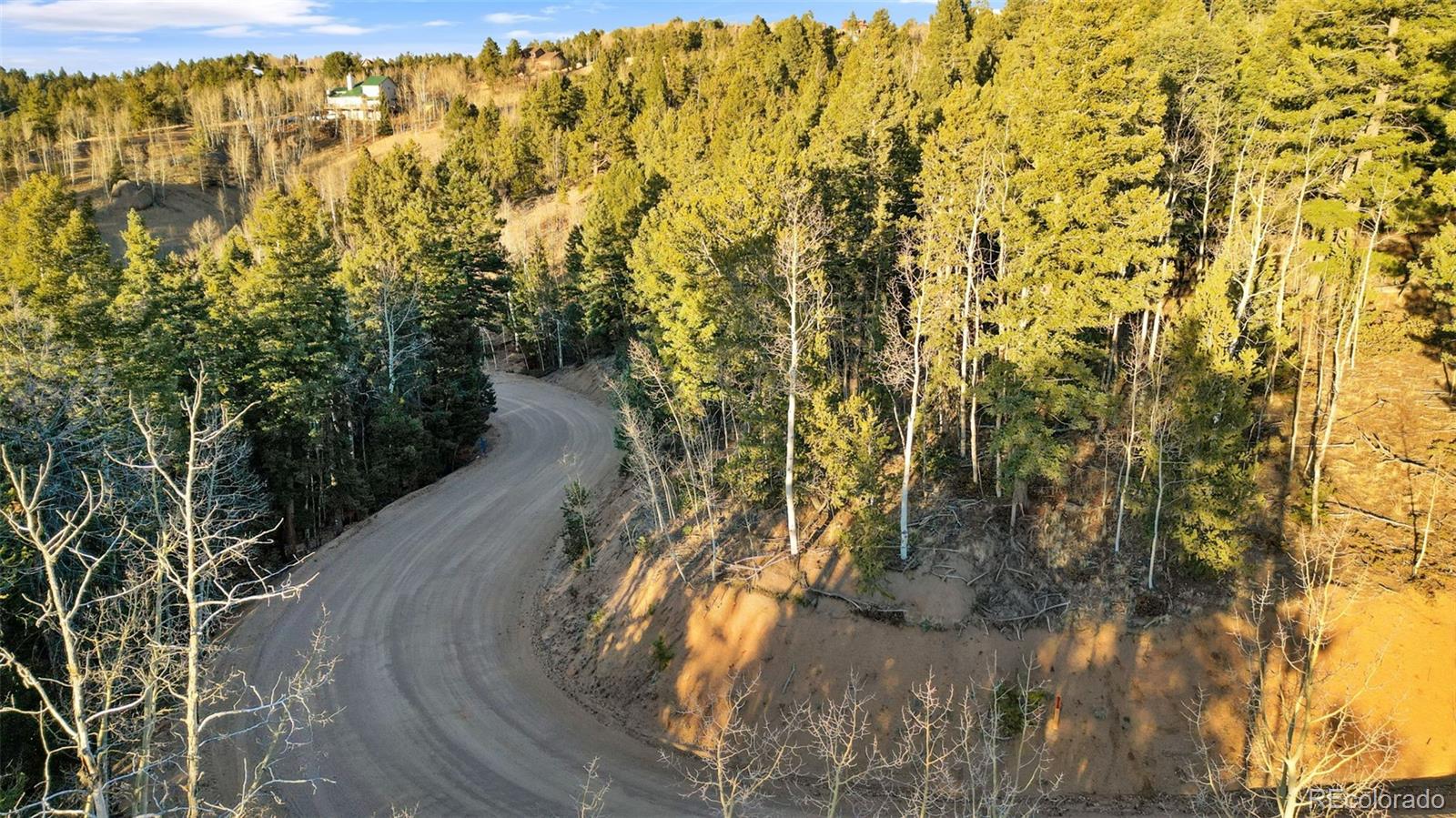 1289 Yorktown Road Cripple Creek CO 80813