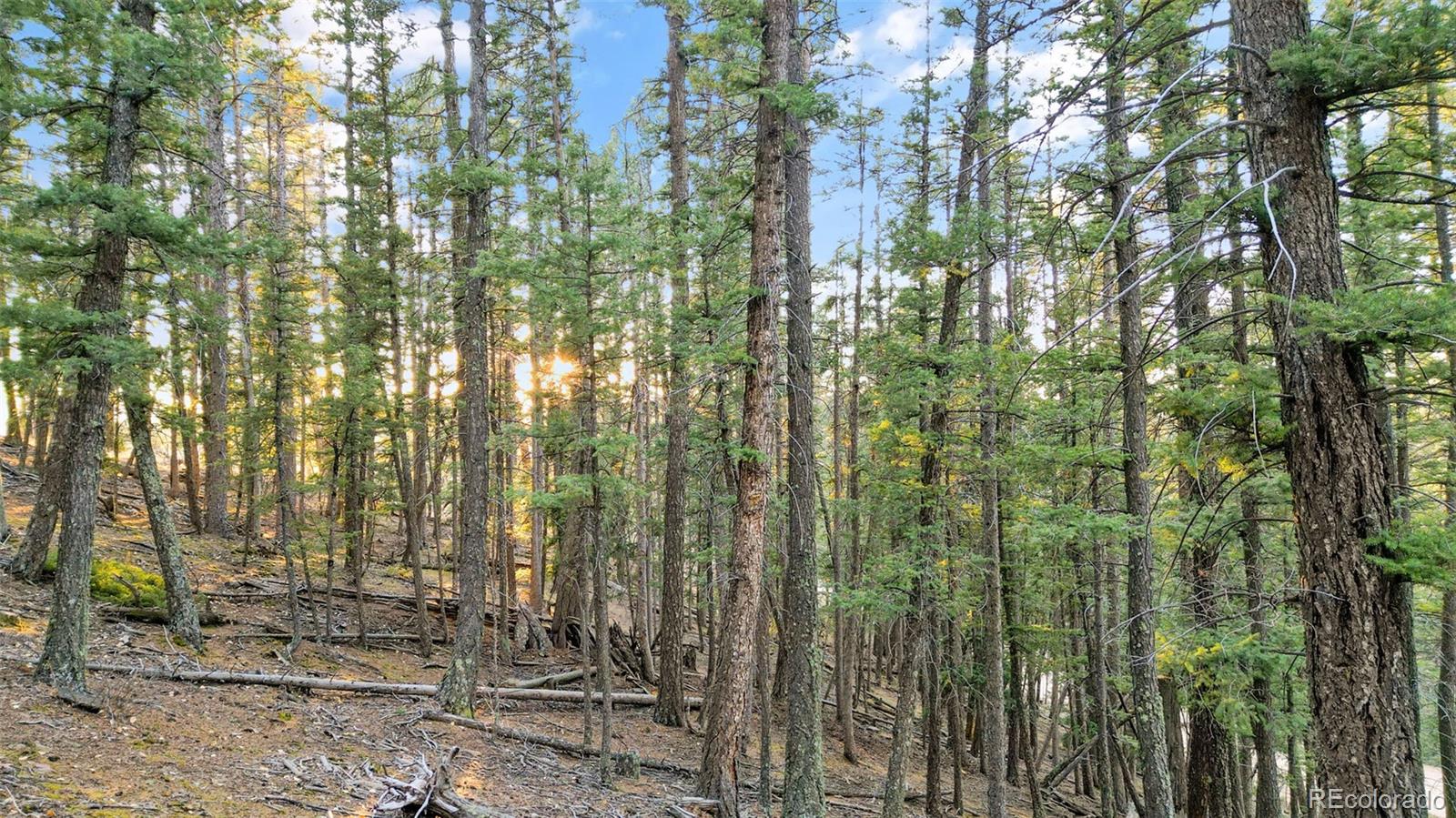1289 Yorktown Road Cripple Creek CO 80813