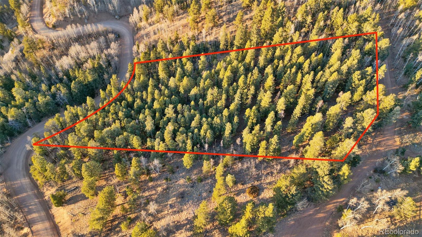 1289 Yorktown Road Cripple Creek CO 80813
