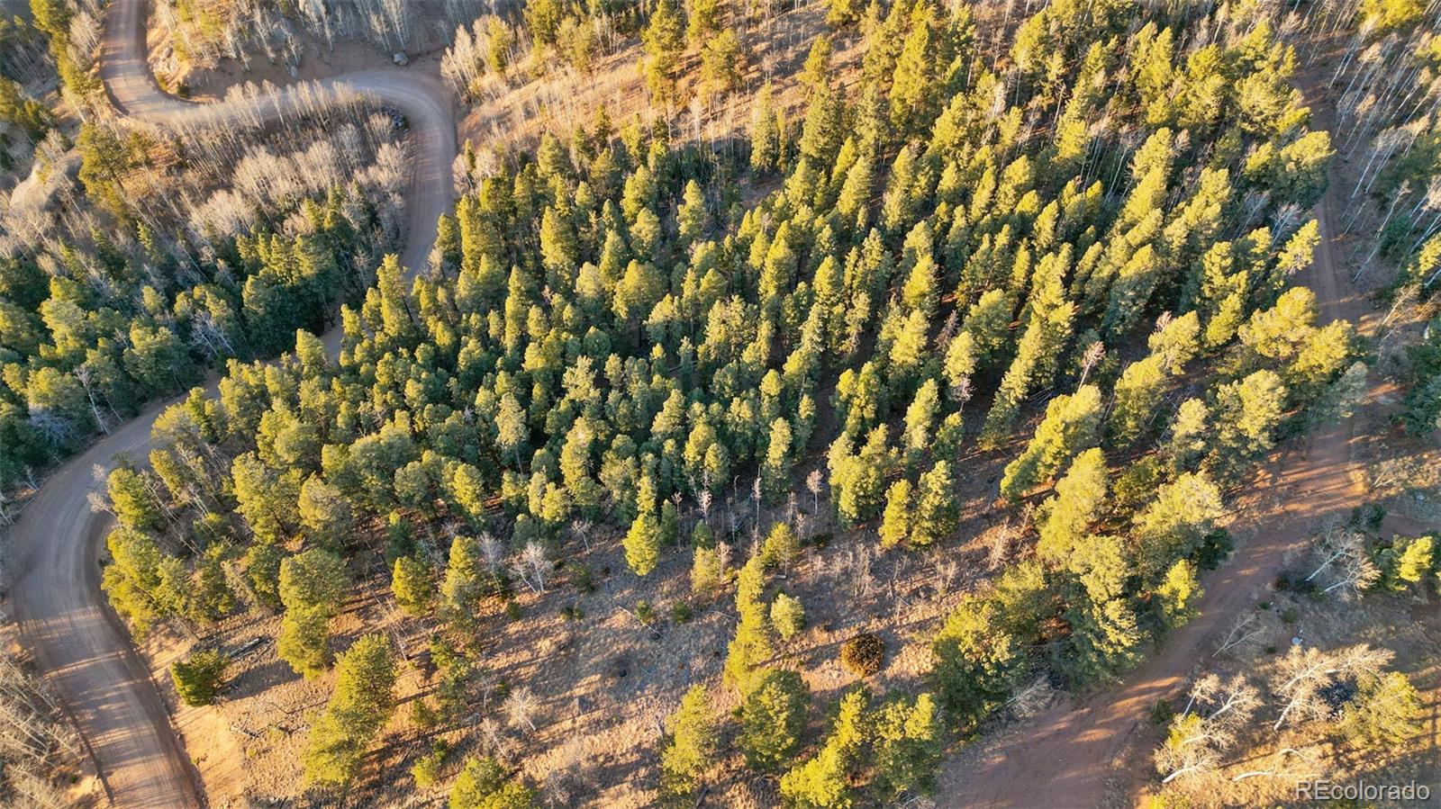 1289 Yorktown Road Cripple Creek CO 80813