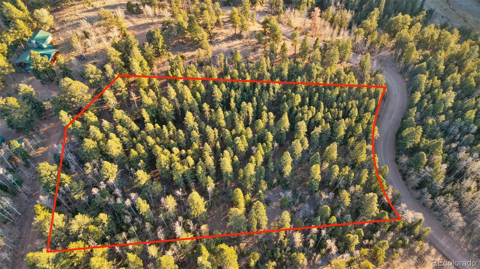 1289 Yorktown Road Cripple Creek CO 80813