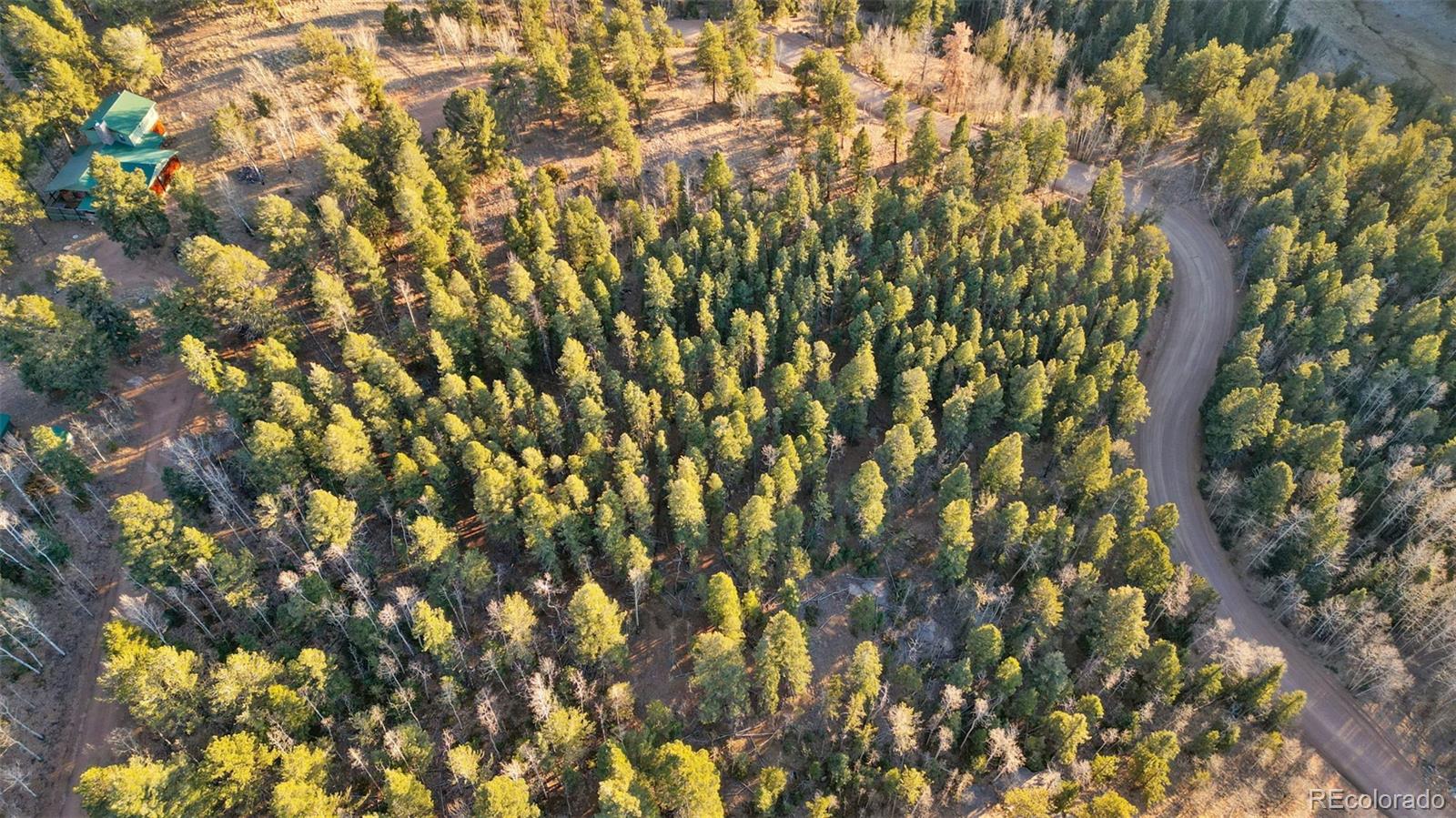 1289 Yorktown Road Cripple Creek CO 80813