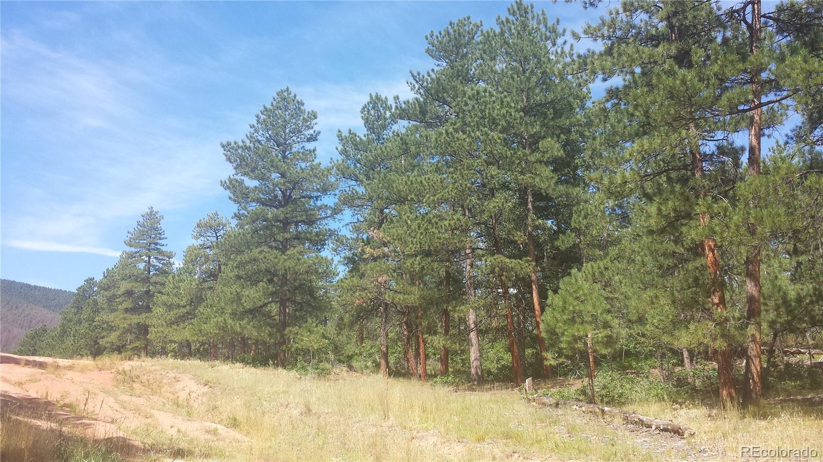 4467 Delaware Drive Larkspur CO 80118