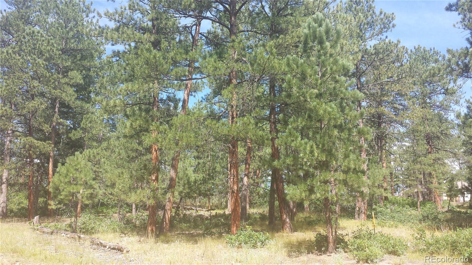 4467 Delaware Drive Larkspur CO 80118