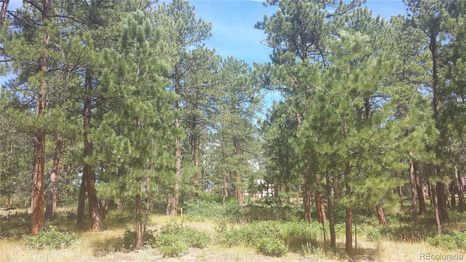 4467 Delaware Drive Larkspur CO 80118