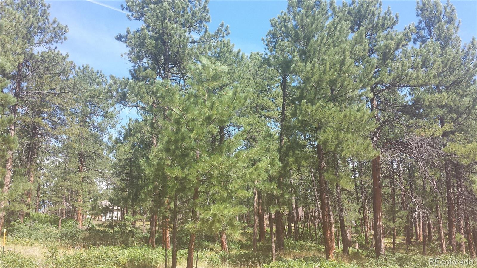 4467 Delaware Drive Larkspur CO 80118