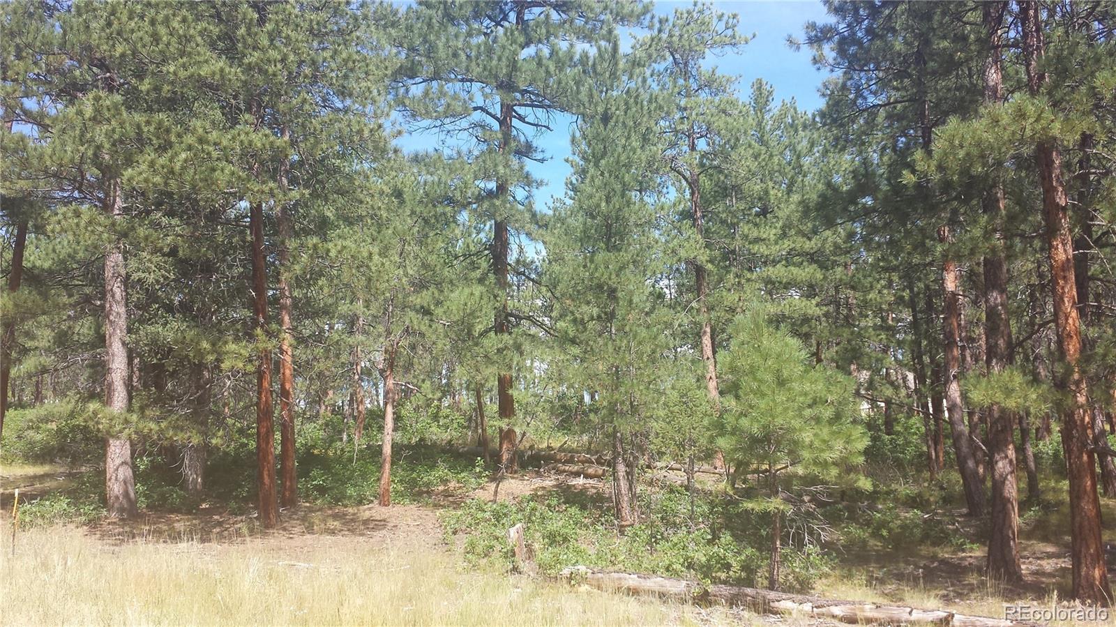 4467 Delaware Drive Larkspur CO 80118