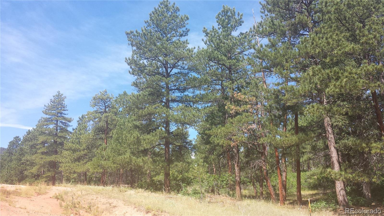 4467 Delaware Drive Larkspur CO 80118