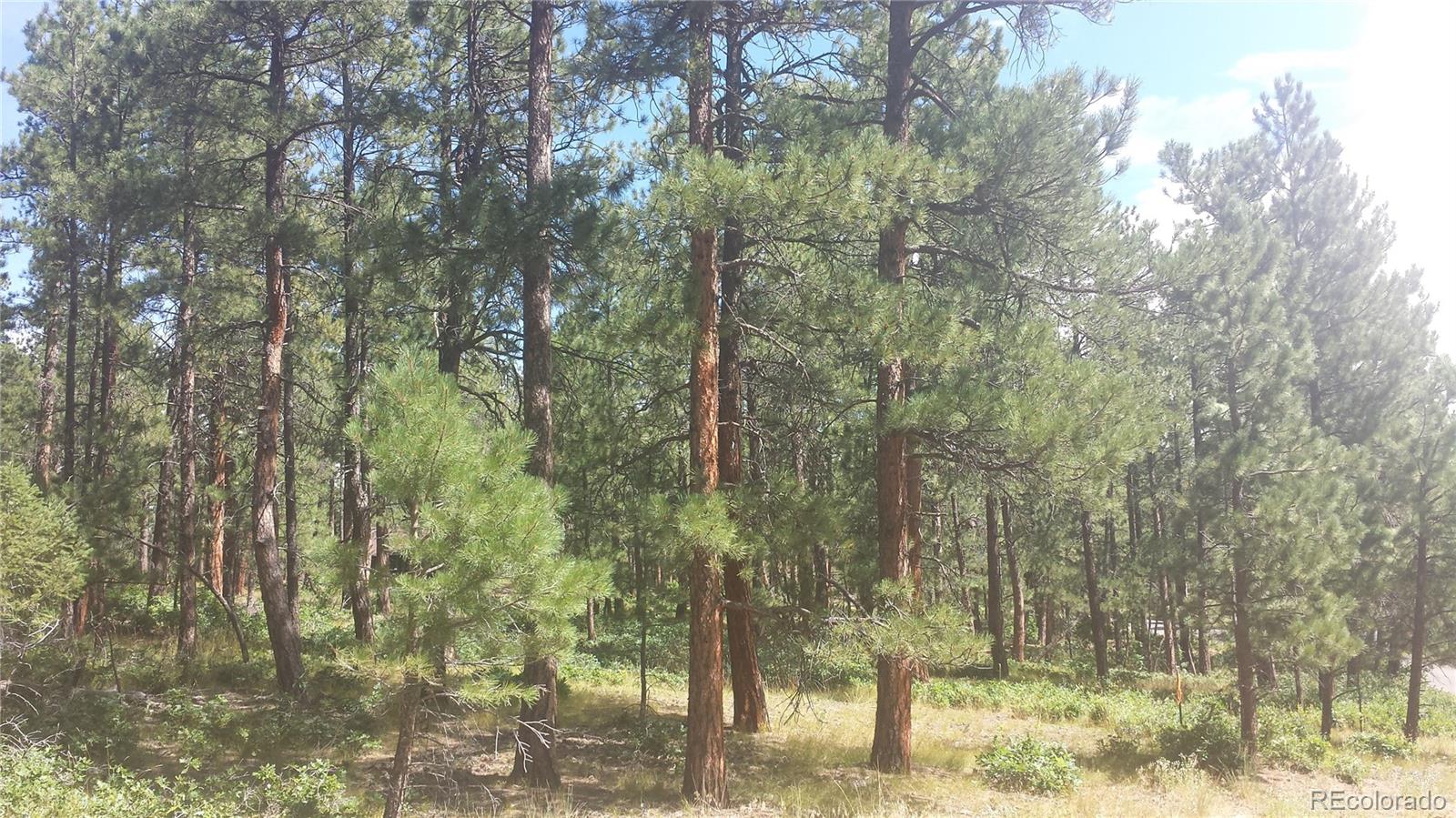 4467 Delaware Drive Larkspur CO 80118