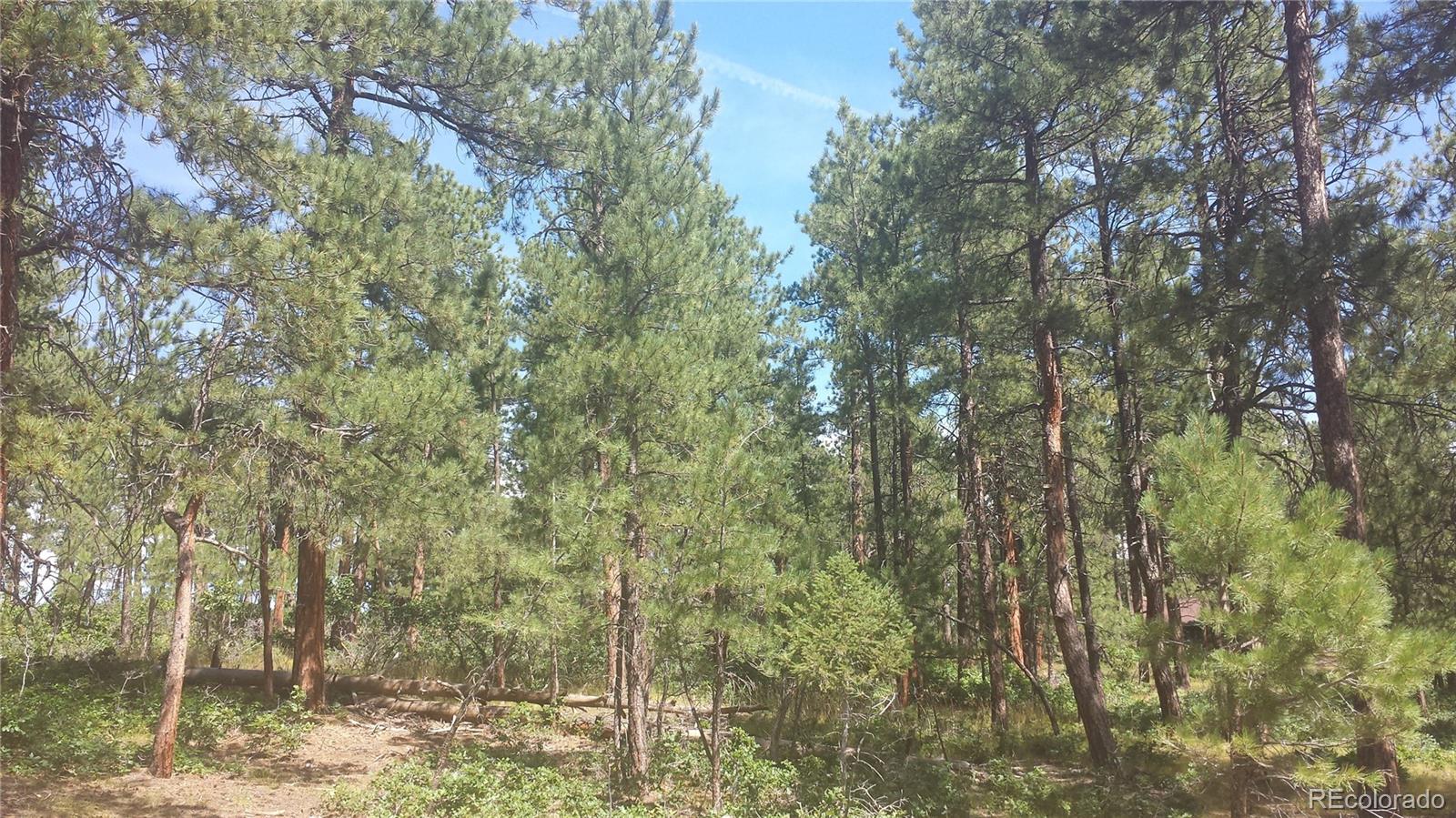 4467 Delaware Drive Larkspur CO 80118