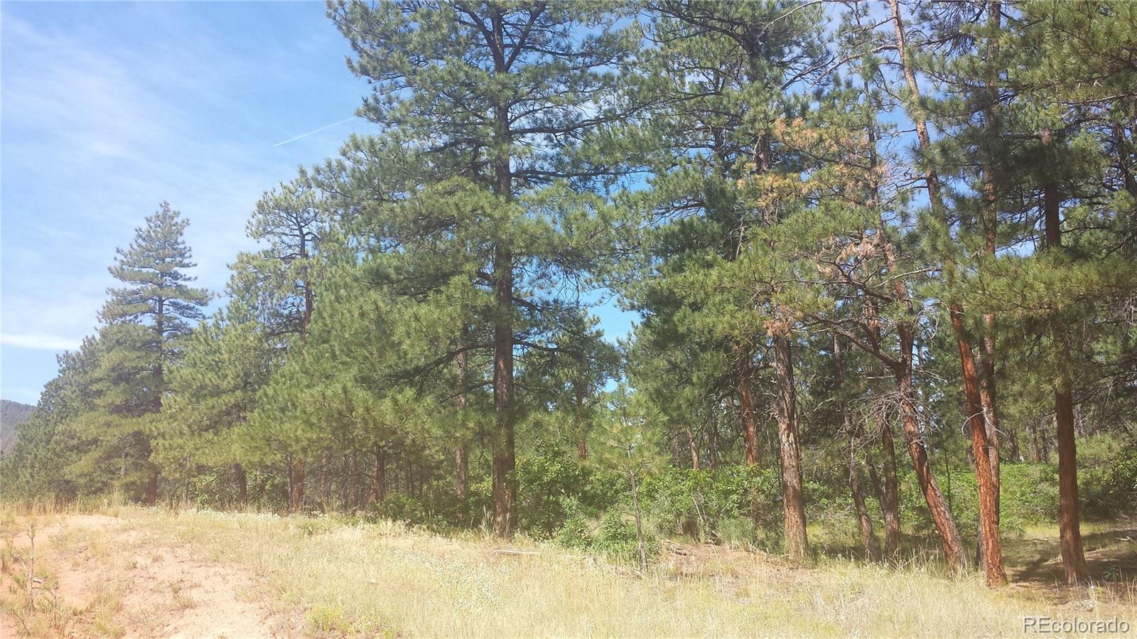 4467 Delaware Drive Larkspur CO 80118