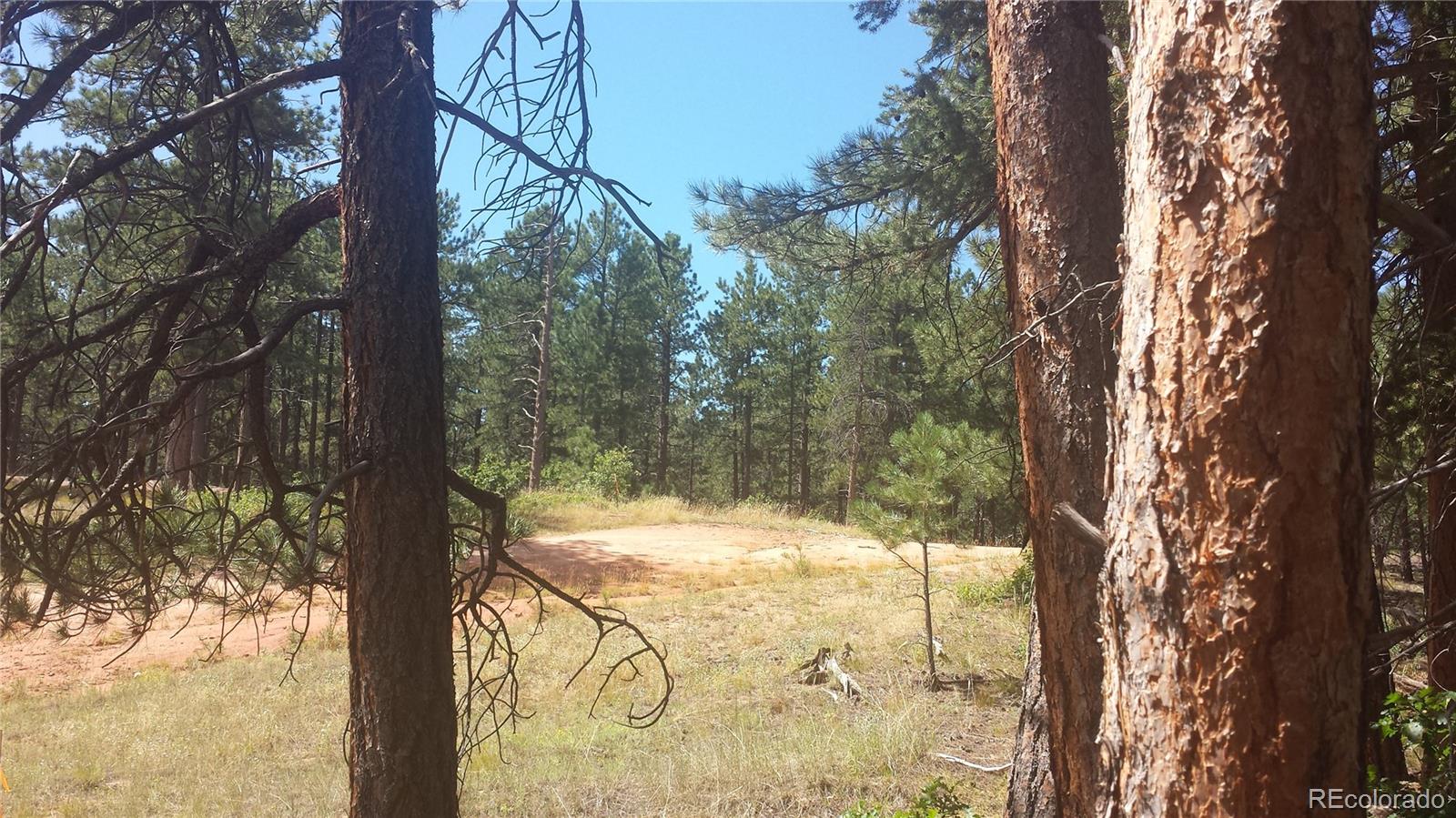4467 Delaware Drive Larkspur CO 80118