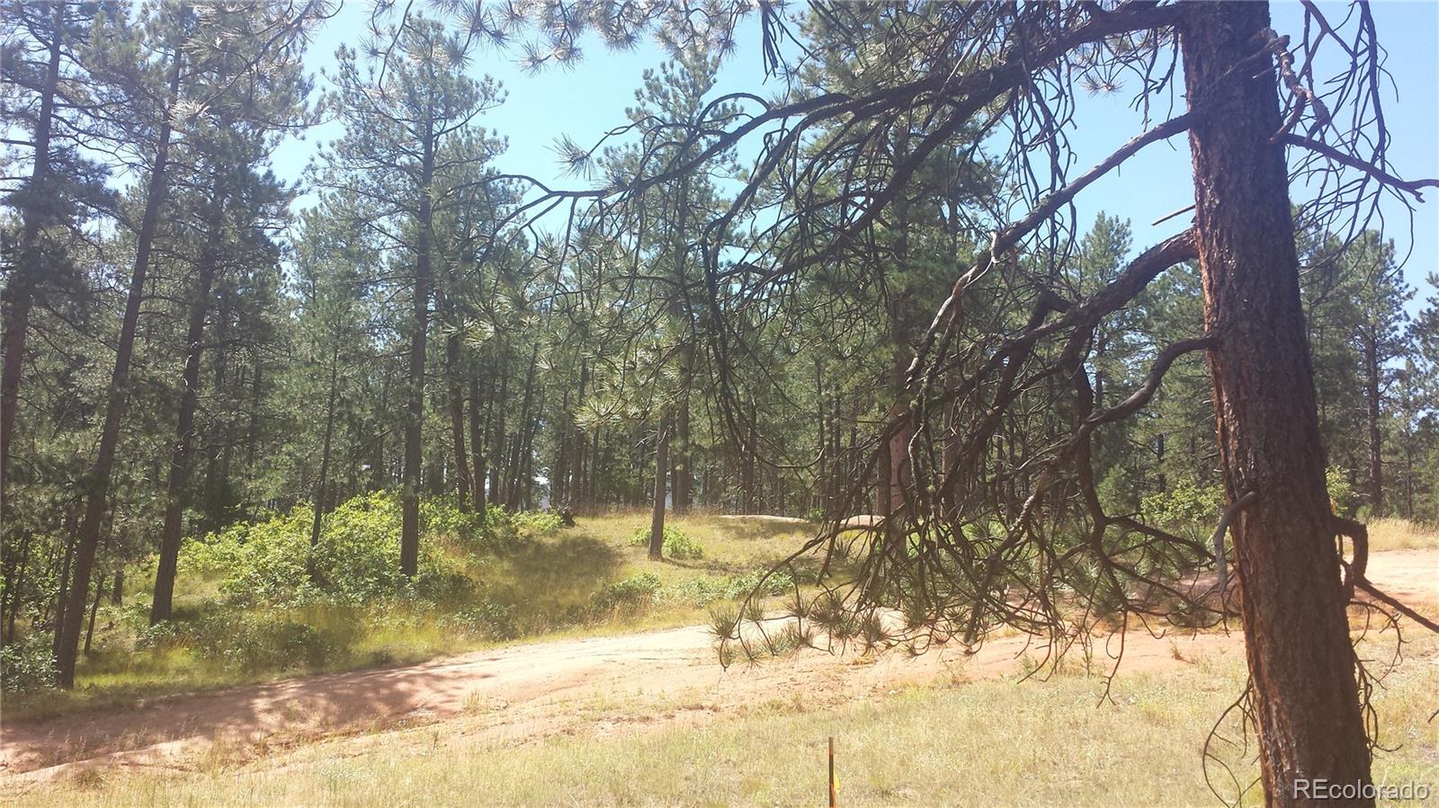 4467 Delaware Drive Larkspur CO 80118