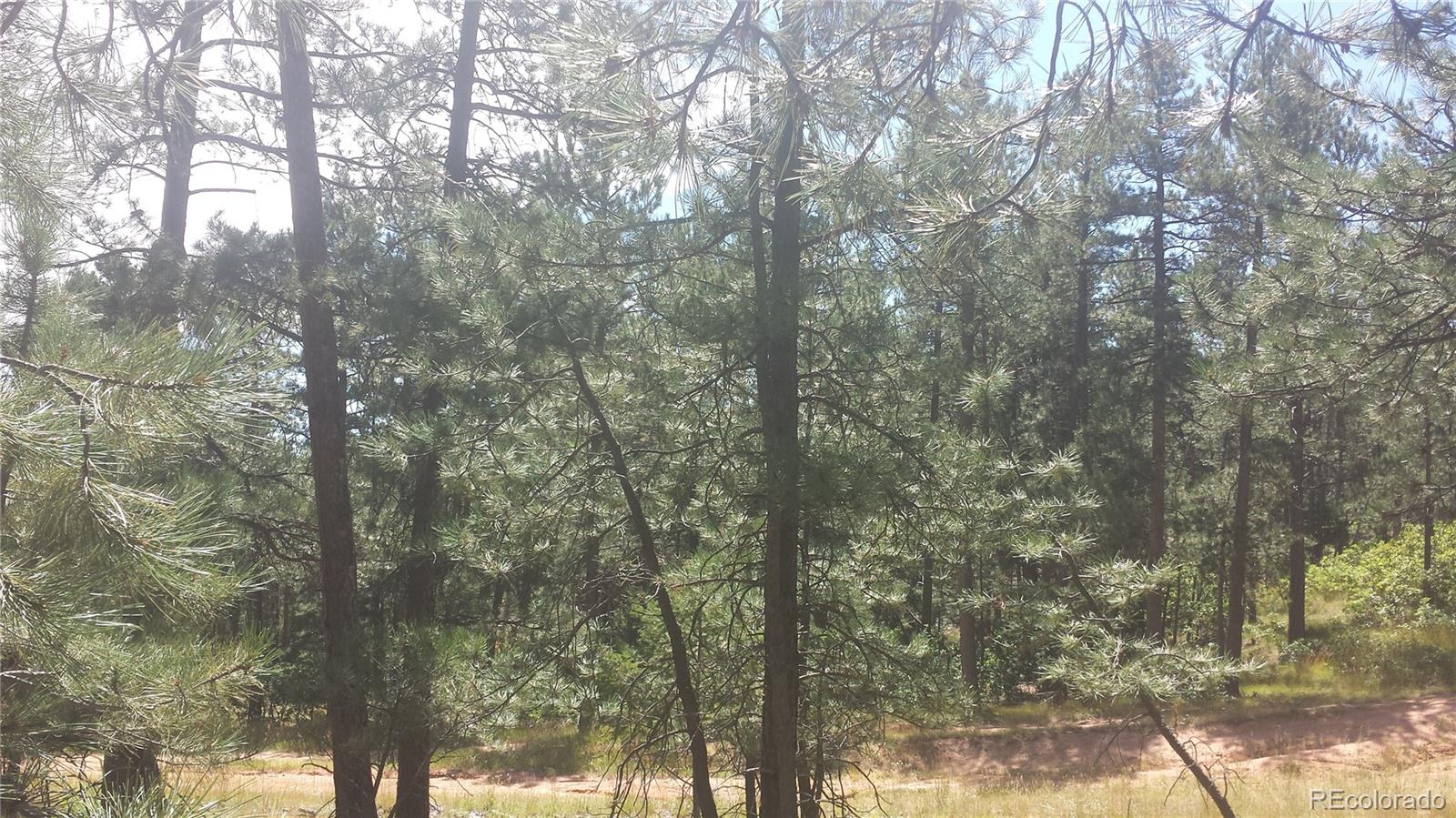4467 Delaware Drive Larkspur CO 80118
