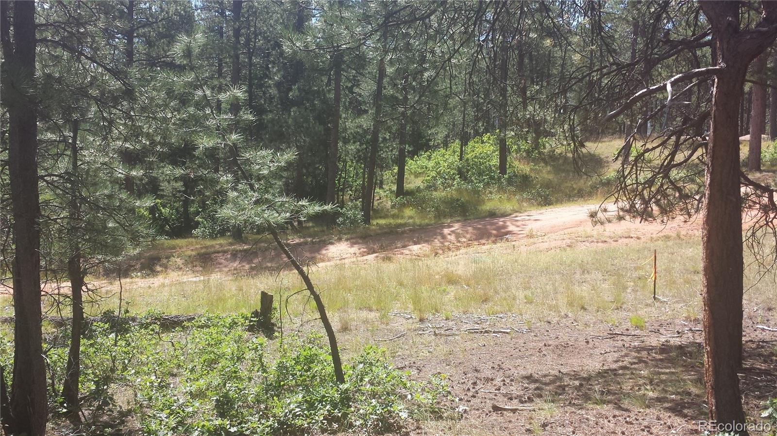 4467 Delaware Drive Larkspur CO 80118