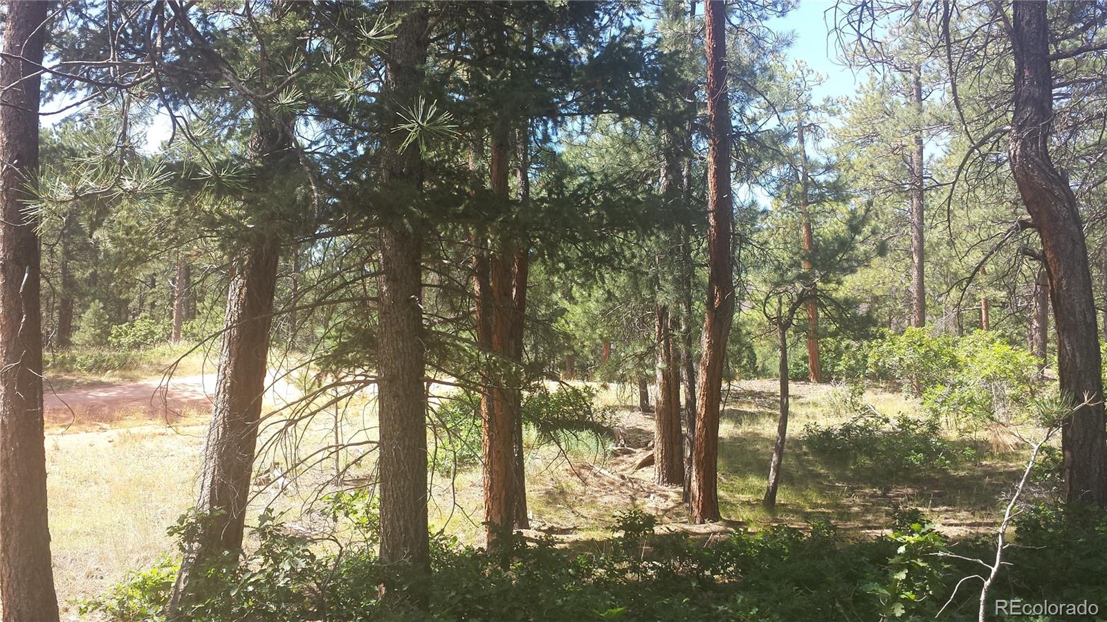 4467 Delaware Drive Larkspur CO 80118