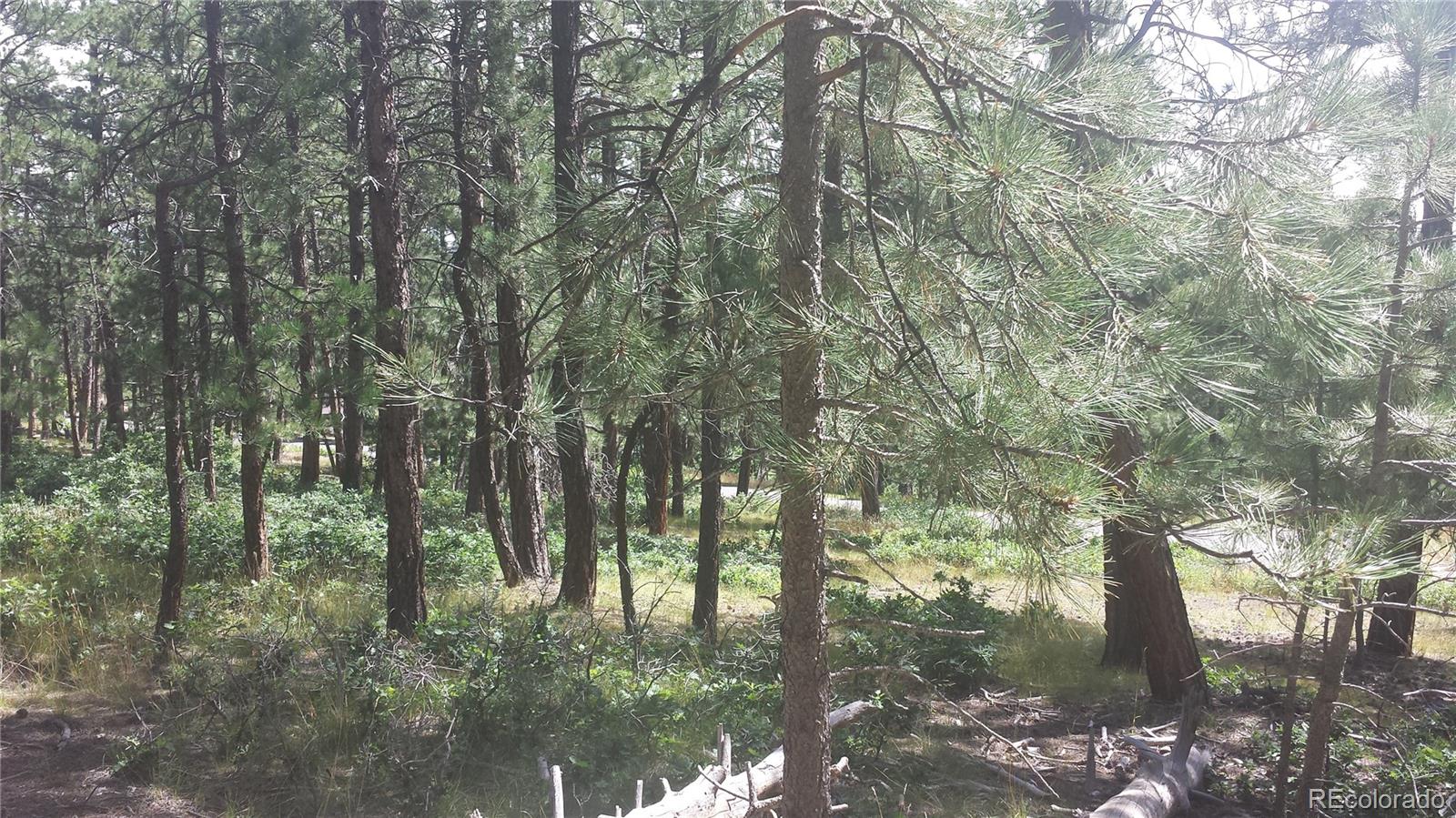 4467 Delaware Drive Larkspur CO 80118