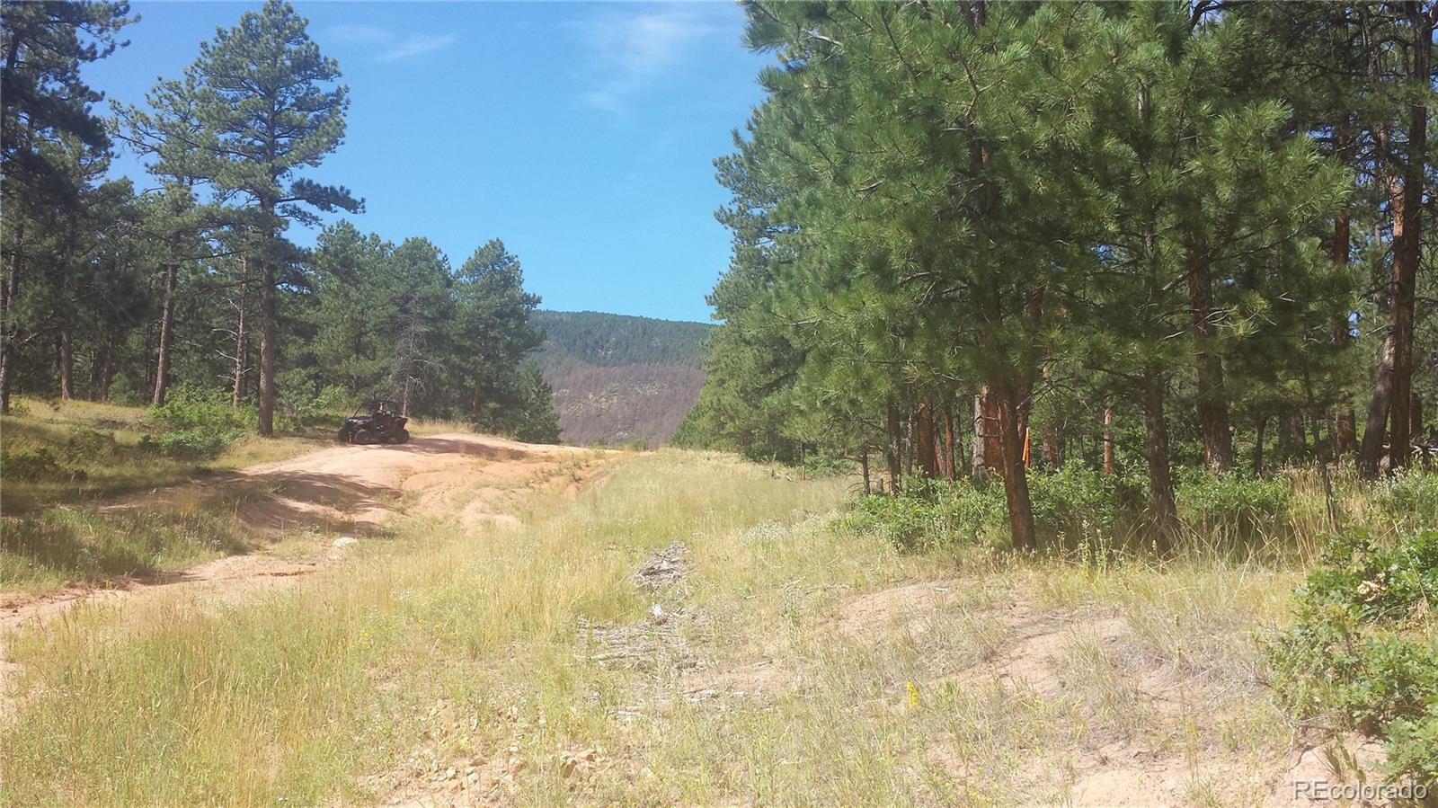 4467 Delaware Drive Larkspur CO 80118