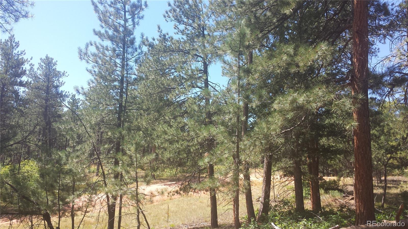 4467 Delaware Drive Larkspur CO 80118