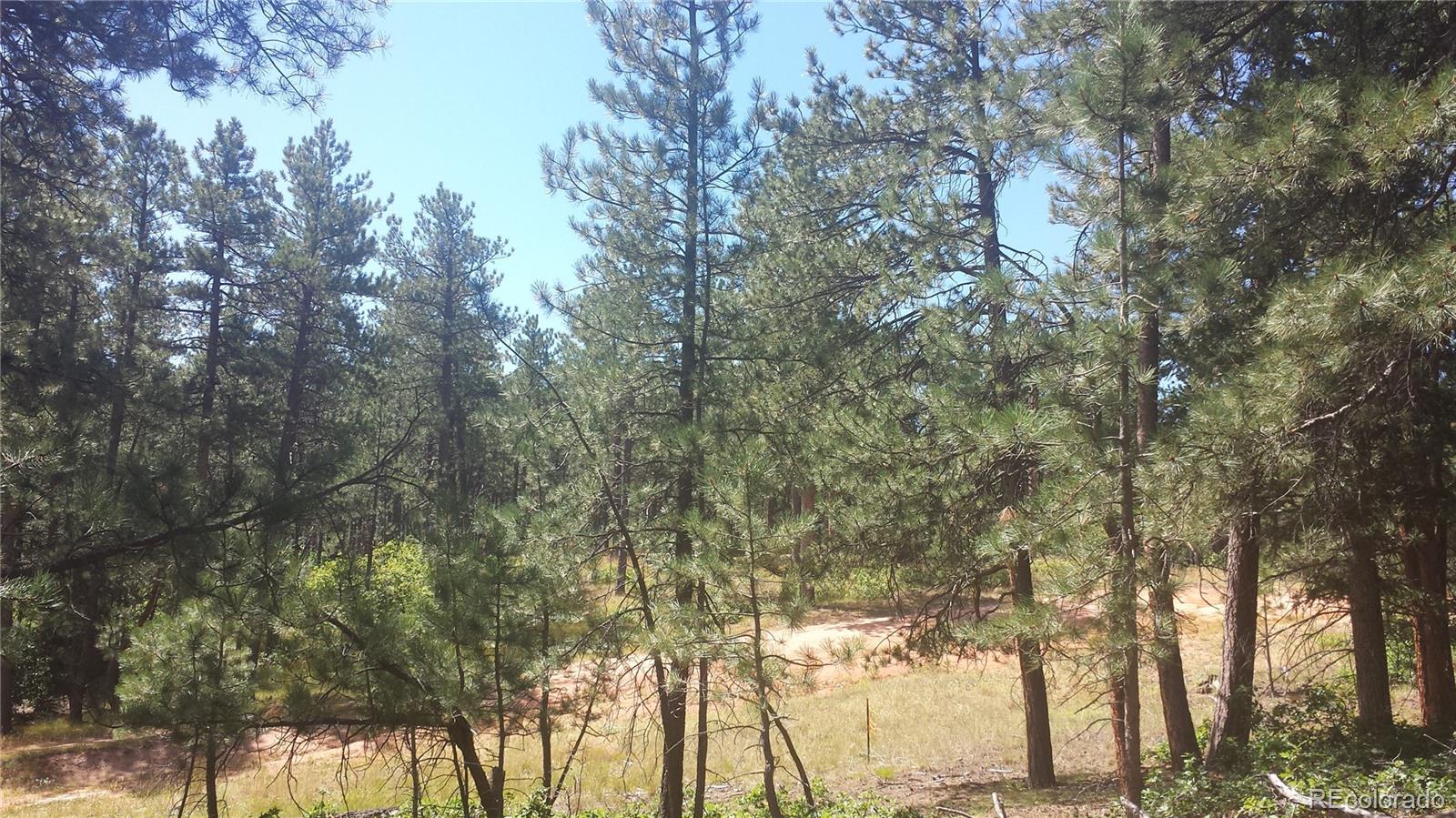4467 Delaware Drive Larkspur CO 80118