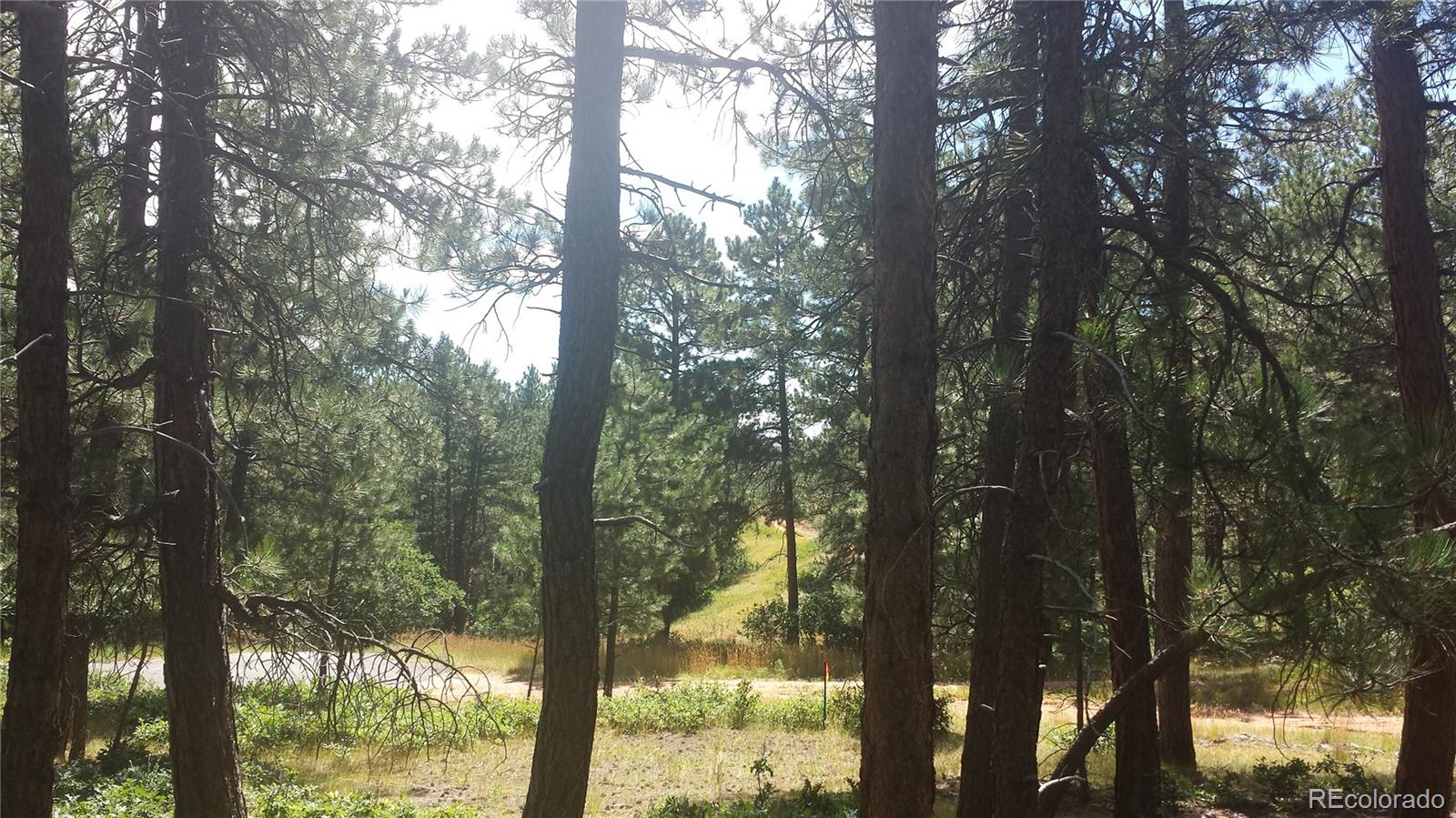 4467 Delaware Drive Larkspur CO 80118
