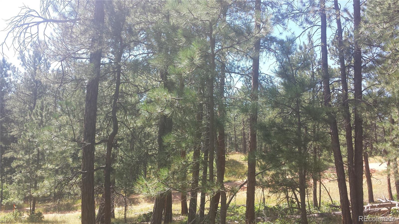 4467 Delaware Drive Larkspur CO 80118