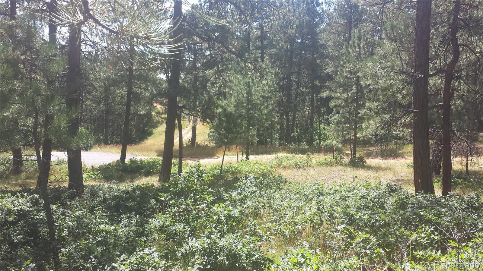 4467 Delaware Drive Larkspur CO 80118