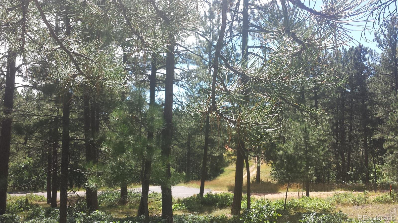 4467 Delaware Drive Larkspur CO 80118