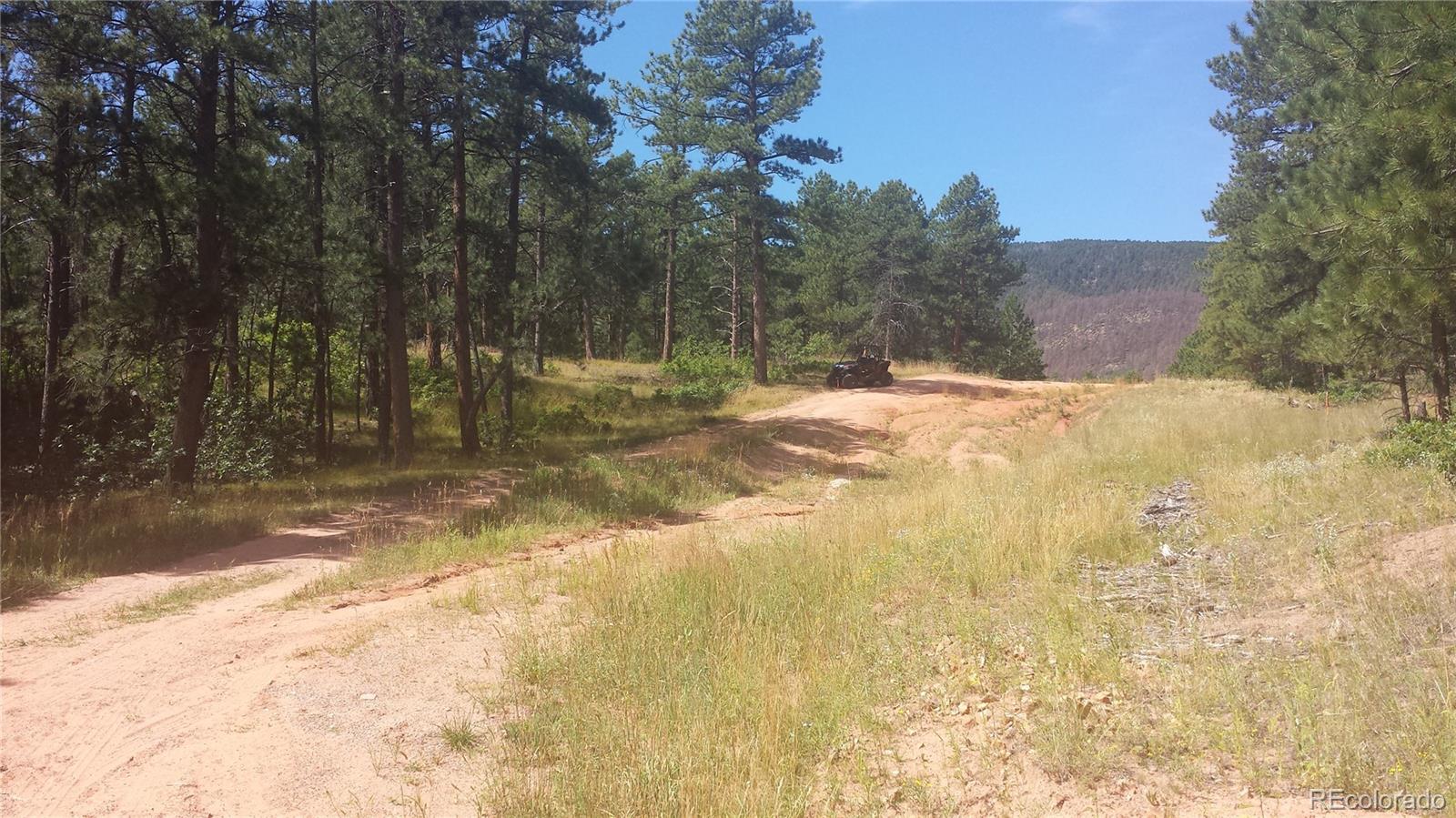 4467 Delaware Drive Larkspur CO 80118