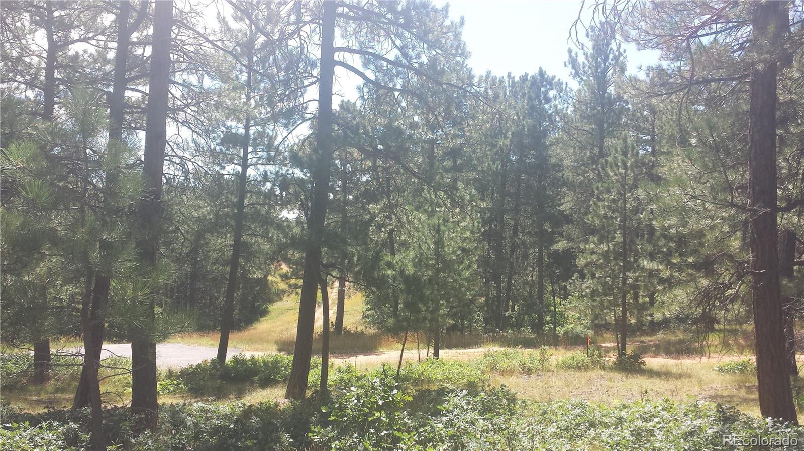 4467 Delaware Drive Larkspur CO 80118