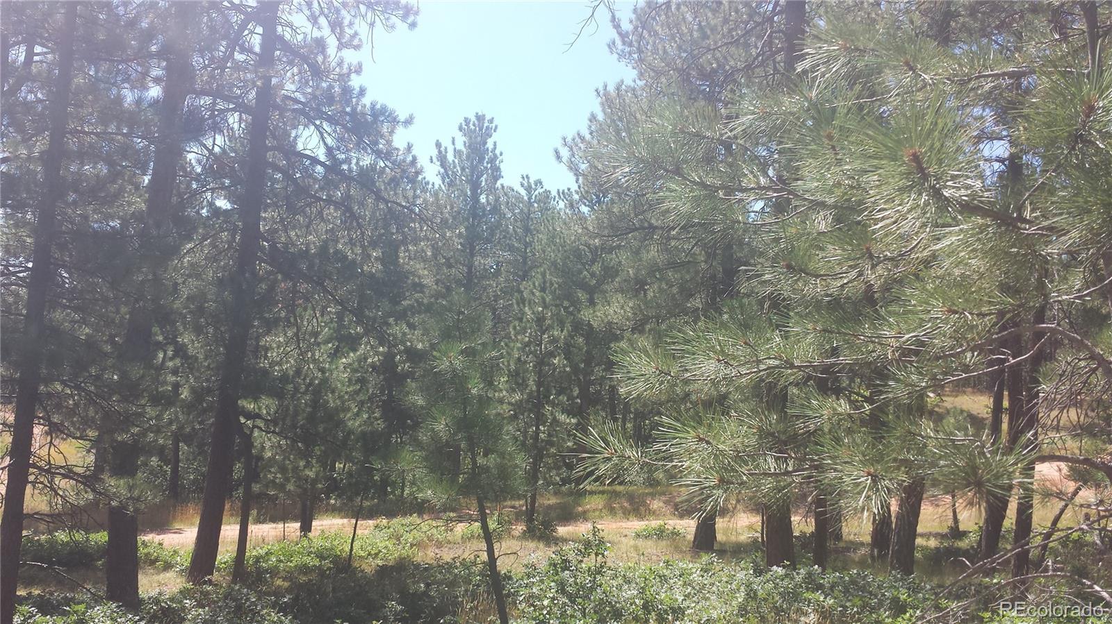 4467 Delaware Drive Larkspur CO 80118