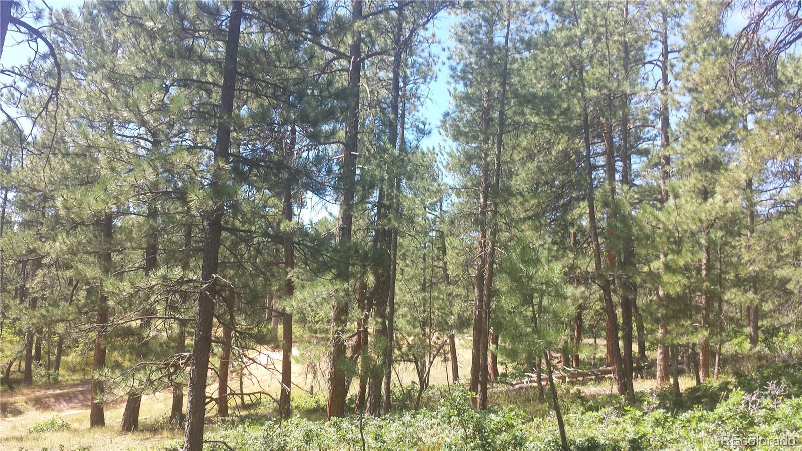 4467 Delaware Drive Larkspur CO 80118