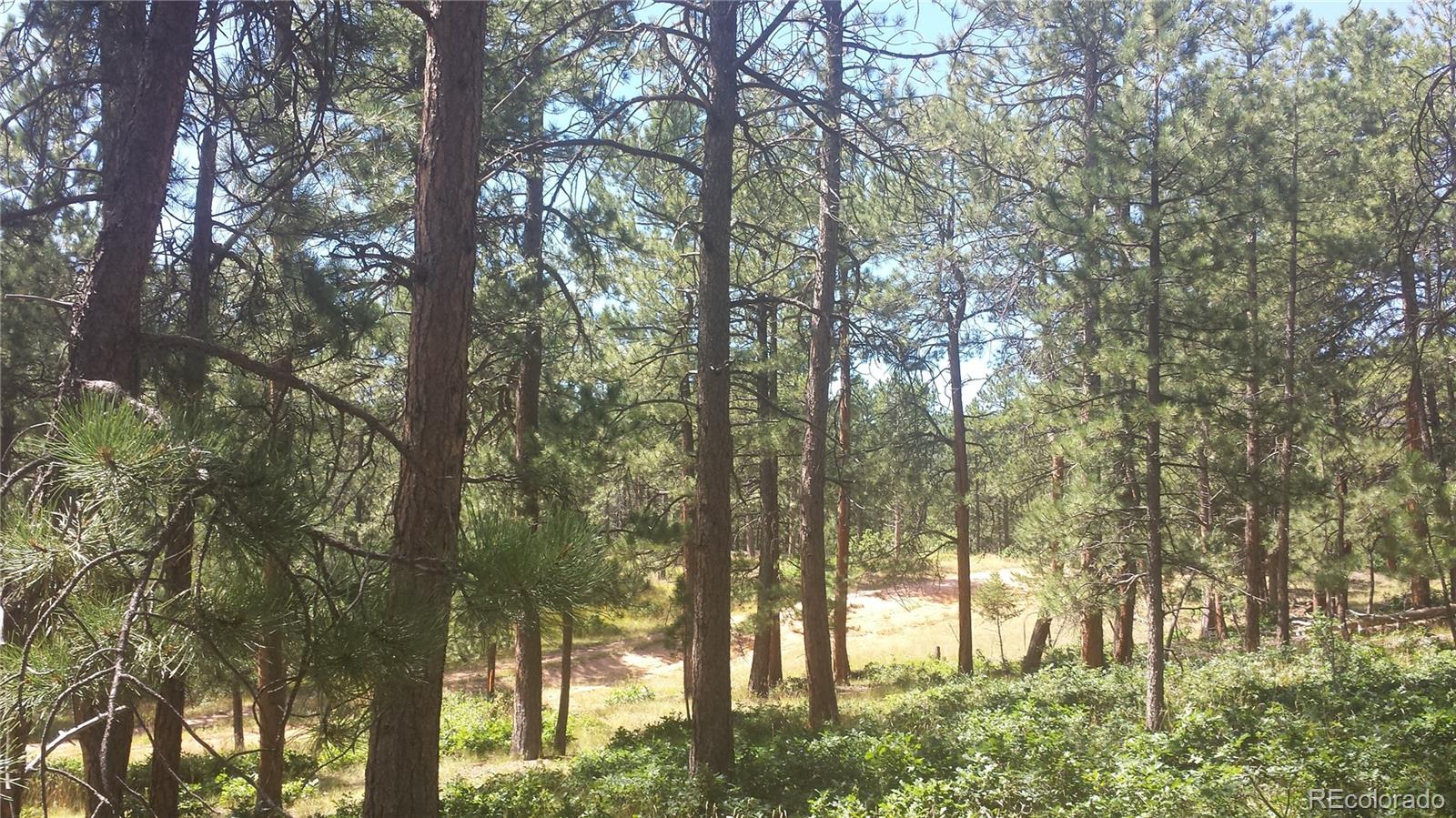 4467 Delaware Drive Larkspur CO 80118