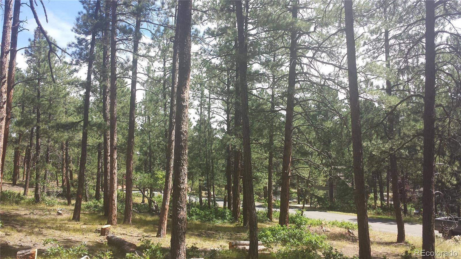 4467 Delaware Drive Larkspur CO 80118