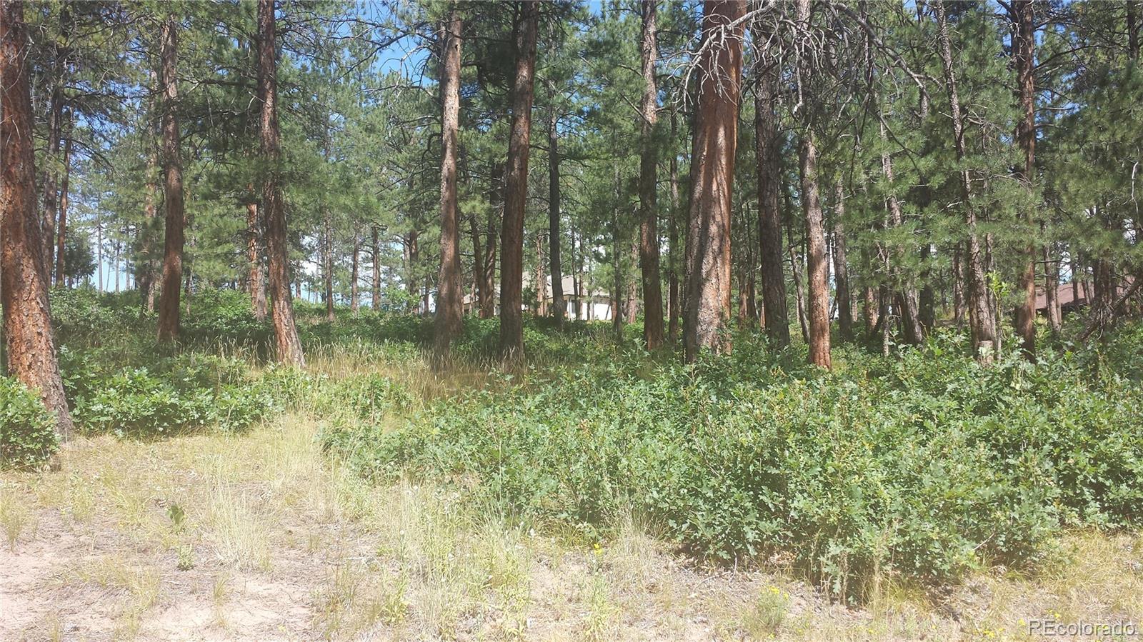 4467 Delaware Drive Larkspur CO 80118