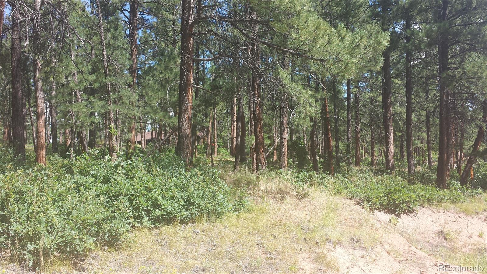4467 Delaware Drive Larkspur CO 80118
